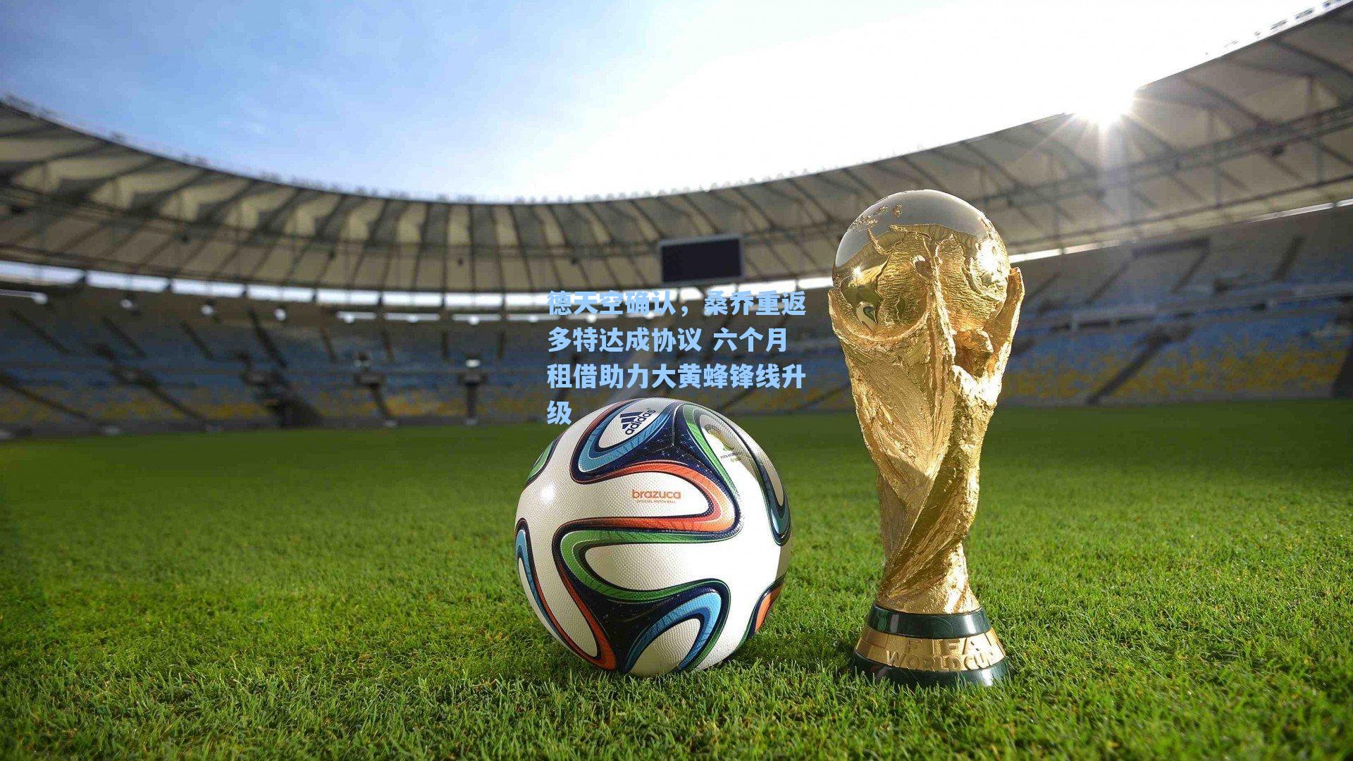【海星tv】德天空确认，桑乔重返多特达成协议 六个月租借助力大黄蜂锋线升级