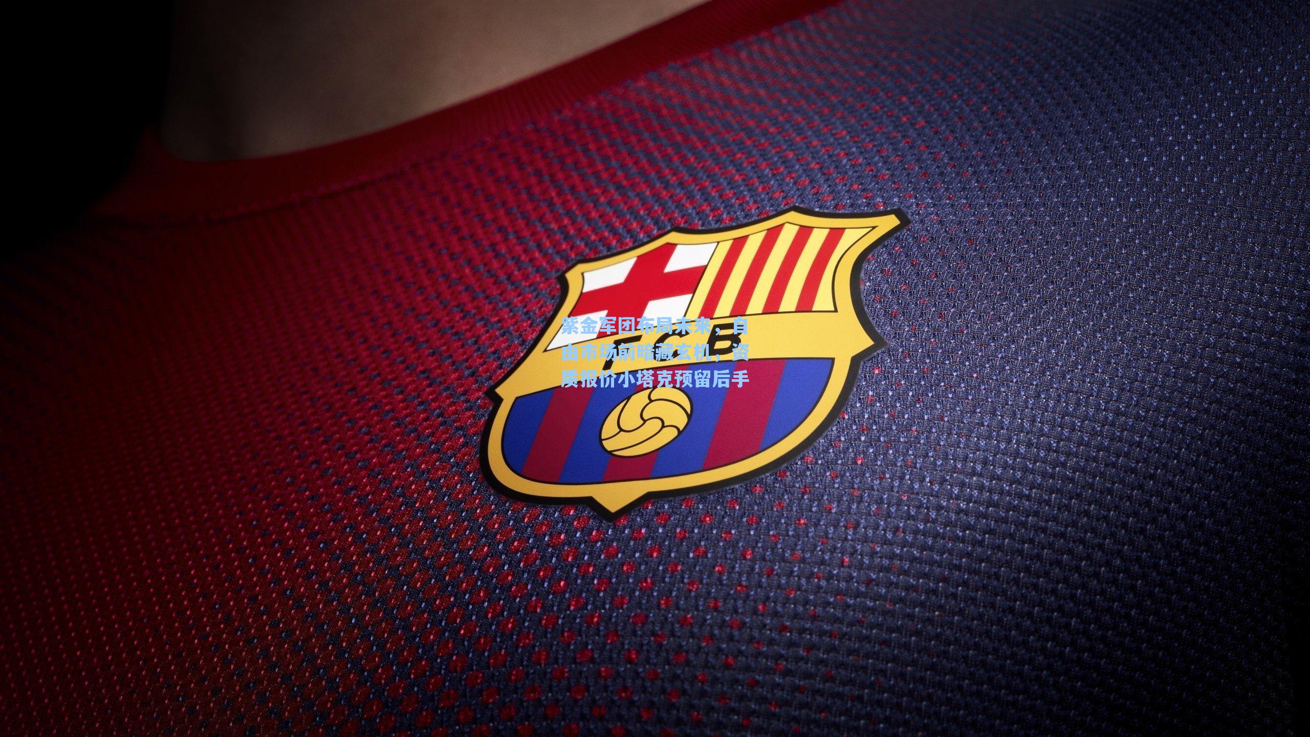 紫金军团布局未来,自由市场前暗藏玄机,资质报价小塔克预留后手